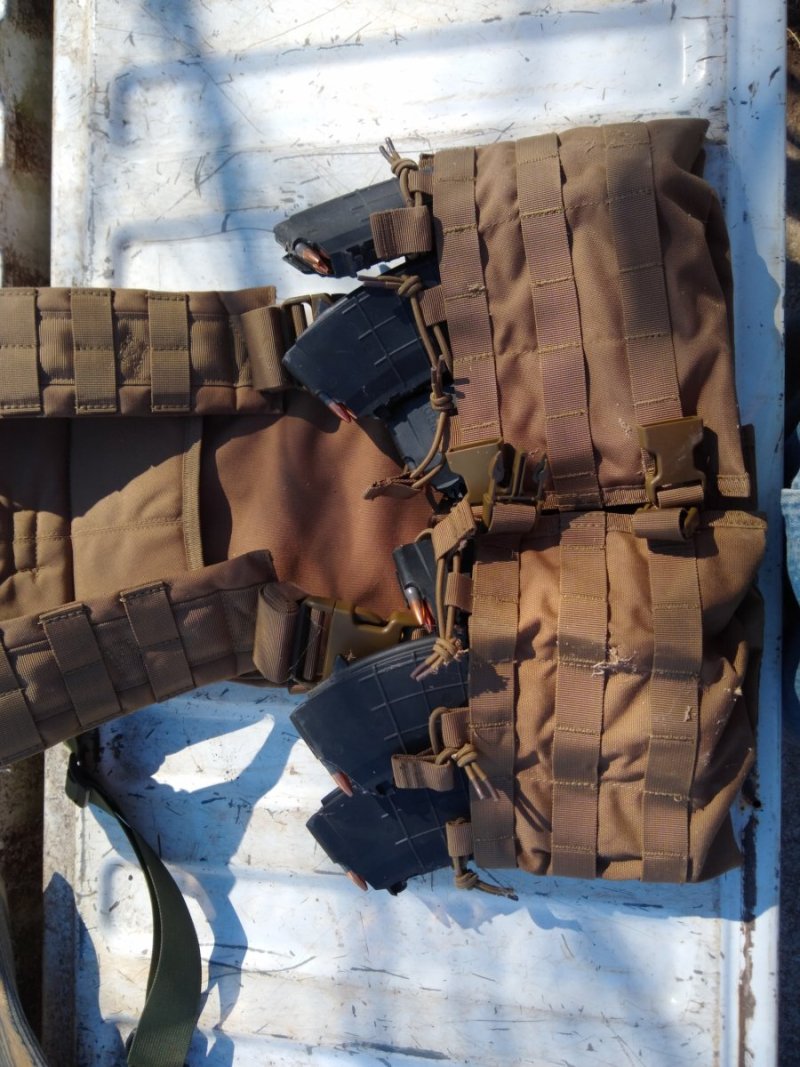 SKS Mags & Carrier.jpg