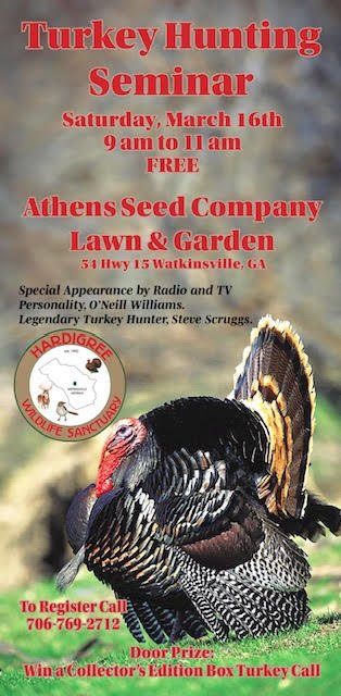 Athens Seed Event.jpeg