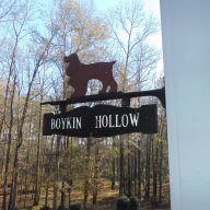 Boykin Hollow